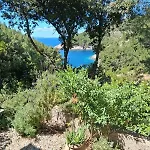 Сasa de vacaciones Secluded Fisherman's Cove Orlandusa, Korcula - 21104