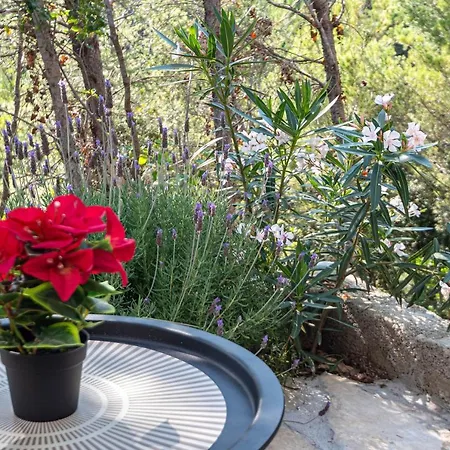 Secluded Fisherman's Cove Orlandusa, Korcula - 21104 Holiday home Zrnovo